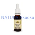 5905279300248 Ekstrakt z rdestu ostrokończystego 20ml (rdest japoński) MEDI-FLOWERY