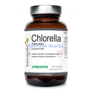 Chlorella Yaeyama 120 tabl. Kenay