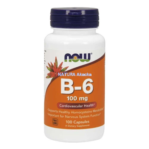 Witamina B-6 100 mg/100 kaps