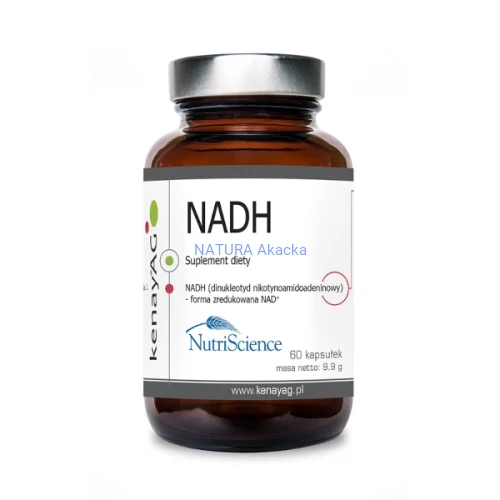NADH dinukleotyd nikotynoamidoadeninowy 60 kaps.