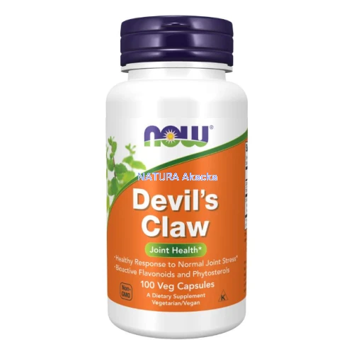 Devil's Claw 100 kaps. ekstrakt