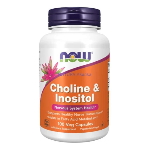 Choline & Inositol 100 kaps