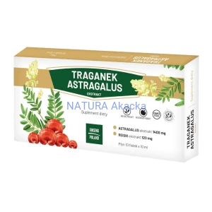 Traganek Astragalus ex. 10 x 10 (fiolki)