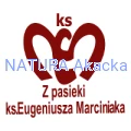 Zdjęcie ma charakter informacyjny. Rzeczywisty wygląd produktu może się różnić od prezentowanego na zdjęciu.