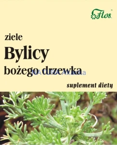 Bylica bożego drzewka ziele 50 g Flos
