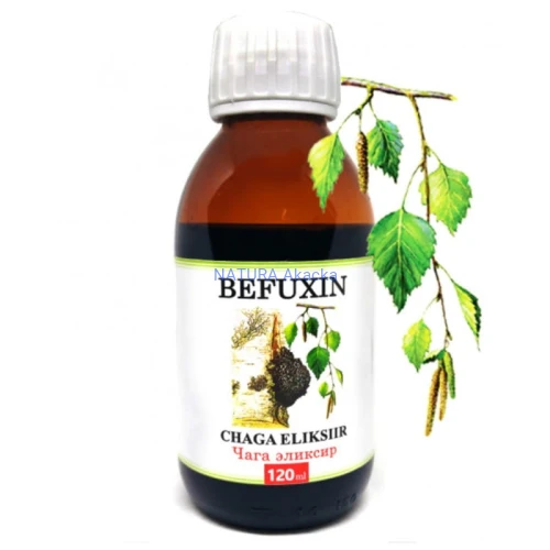 czaga-befuxin-ekstrakt-1-5-czarnej-huby-brzozowej-120ml (1).jpg