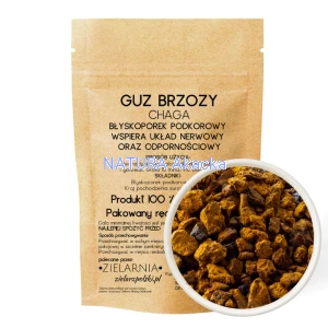 Guz Brzozy Chaga 50 g ZielarzPolski.