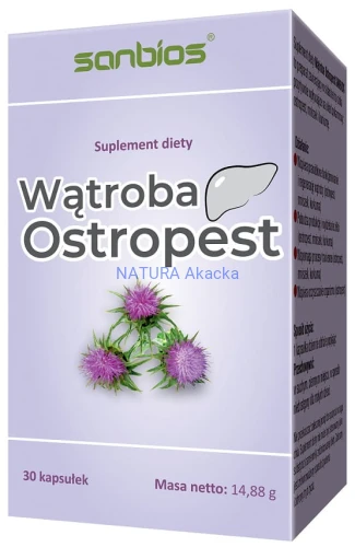 ostropest11.jpg