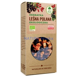 Leśna polana 100 g BIO Dary Natury