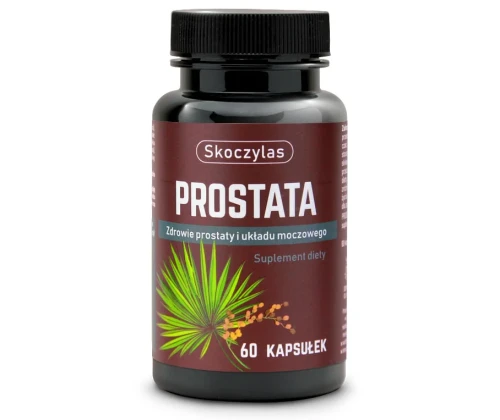skoczylas-prostata-5903631208355.webp