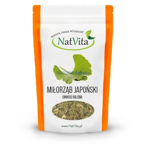 ginkgo-liscie-pociete-milorzab-japonski-ciety-cena-sklep.webp