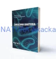 9788395731303 Narum Zakazana Bakteria Tajemnica Zdrowia