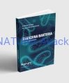 9788395731303 Narum Zakazana Bakteria Tajemnica Zdrowia