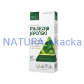 5907622656071 MEDICA HERBS Miłorząb Japoński 120mg, 60 kaps.