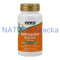 Astragalus Extract 500 mg/90 Veg Capsules