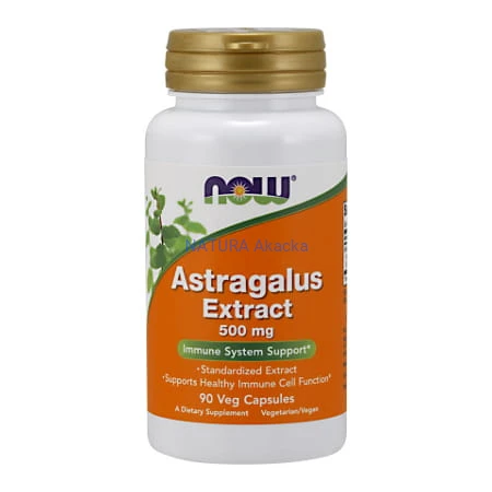 Astragalus Extract 500 mg/90 Veg Capsules