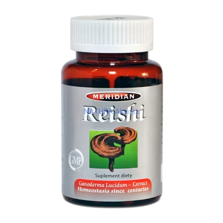 Reishi zarodniki grzybka Ganoderma Lucidum