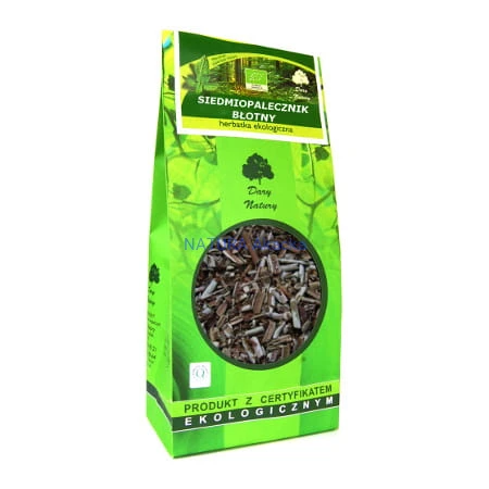 Siedmiopalecznik Błotny 100 g EKO